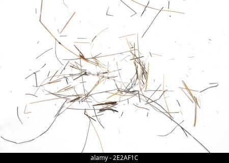 Kleiner Heuhaufen isoliert auf weißem Hintergrund. Stockfoto