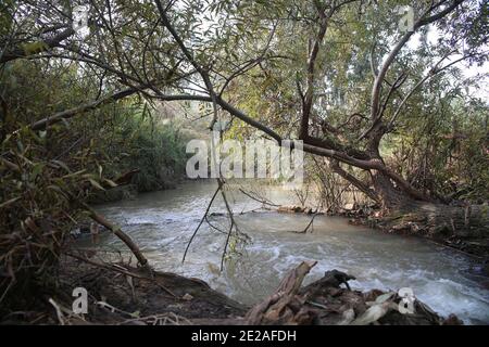 Abseits der ausgetretenen Pfade in Israel EIN natürlicher Weg weiter Die Ufer des Flusses Yarkon Stockfoto