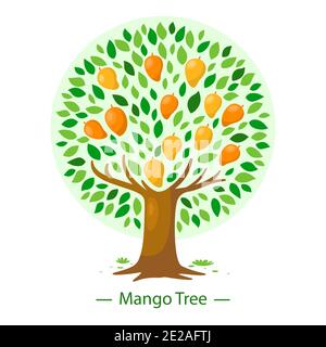 Mangobaum im flachen Design Vektor-Illustration. Stock Vektor