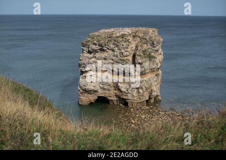 Marsden Rock and Stacks im September vor den South Shields 2020 Stockfoto