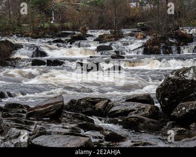 Die Wasserfälle von Dochart am Fluss Dochart bei Killin in Stirling, Schottland, Großbritannien Stockfoto