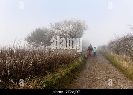 Chanctonbury Ring, Sussex, Großbritannien. 9. JANUAR 2021 Erwachsener und Kind mit Hund beim Spaziergang im Nebel auf dem South Downs Way in der Nähe von Chanctonbury Ring in Sussex Stockfoto