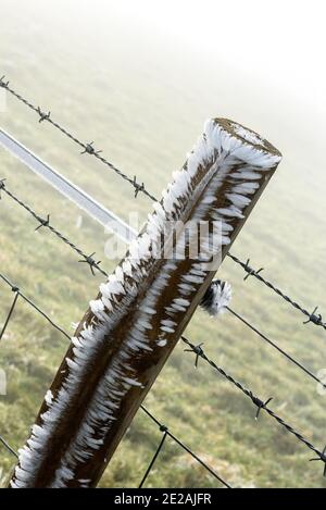 Chanctonbury Ring, Sussex, Großbritannien. 9. JANUAR 2021 Windgeblasene Eiskristalle bilden sich an einem Zaunpfosten auf dem South Downs Way nahe dem Chanctonbury Ring in Sussex Stockfoto