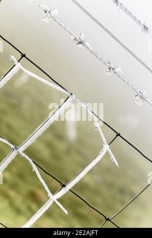 Chanctonbury Ring, Sussex, Großbritannien. 9. JANUAR 2021 Windgeblasene Eiskristalle, die sich auf dem Zaun bilden, schmelzen auf dem South Downs Way nahe dem Chanctonbury Ring in Sus Stockfoto