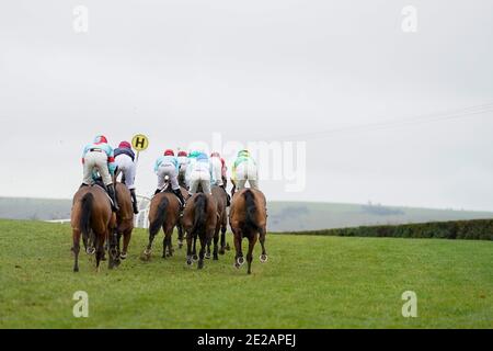 Eine allgemeine Ansicht, wie Läufer ihren Weg an die Spitze der Strecke während der Tie the Knot Hochzeit Catering Novizen' Hürde auf Plumpton Racecourse. Stockfoto