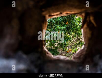 Der Garten von Ninfa, der verlassenen Stadt, Cisterna di Latina, Latium, Italien, Europa Italien Stockfoto