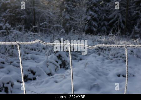 Fechten aus Metallgeflecht im Winter. Stockfoto