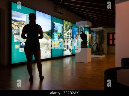 Innenansicht der Exponate im Museu Balear de Ciencies Naturals oder Naturkundemuseum in Soller Mallorca Balearen Spanien. Stockfoto