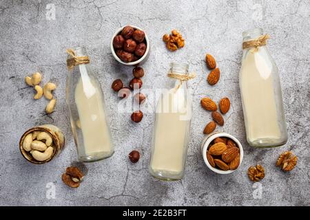 Vegane nicht milchfreie Muttermilch in Flaschen und verschiedene Nüsse auf grauem Hintergrund. Laktosefreier Milchersatz. Draufsicht. Stockfoto