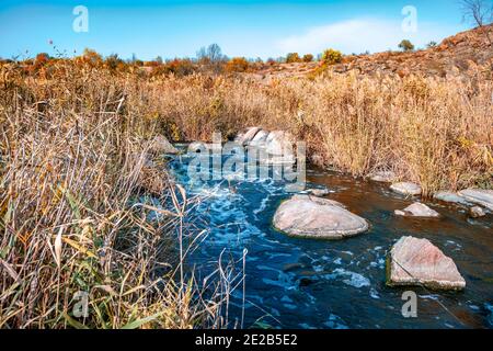 Ein schneller, flacher, sauberer Bach fließt zwischen glatten nassen großen Steinen, umgeben von hohen trockenen Klumpen, die im Wind im malerischen Ukraine schwanken Stockfoto