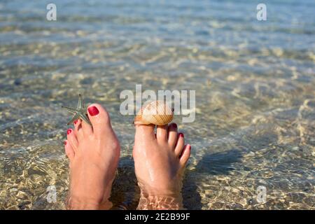 Frauenfüße mit einer Pediküre, die am Strand im Wasser eingetaucht sind. Es gibt einen Seesterne und eine Muschel auf den großen Zehen Stockfoto