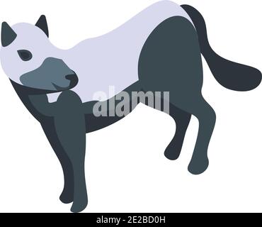 Marmorfuchs-Ikone. Isometrische von Marmor Fuchs Vektor-Symbol für Web-Design isoliert auf weißem Hintergrund Stock Vektor