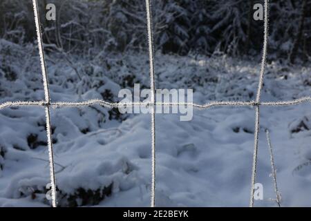 Fechten aus Metallgeflecht im Winter. Stockfoto