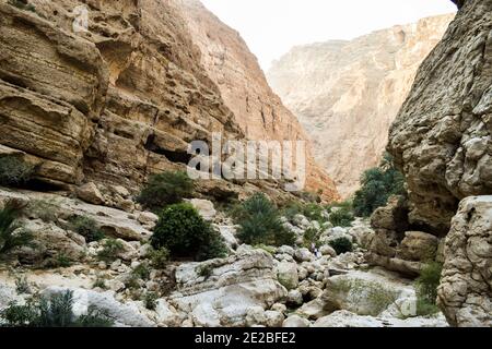 Felsiges Tal mit Sträuchern und kleinen Bäumen in Wadi Shab, Oman. Stockfoto