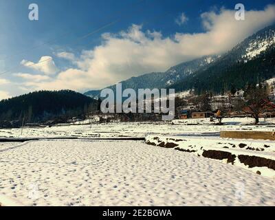 Schneefall in Jammu und Kaschmir ist üblich von Dezember bis Februar, Schnee zieht Touristen und Winterspiele werden auch auf Schnee gespielt. Stockfoto