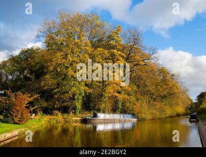 Kanalboot, das auf dem Shropshire Union Canal bei Tyrley Locks, in der Nähe von Market Drayton, Shropshire, festgemacht ist. Stockfoto