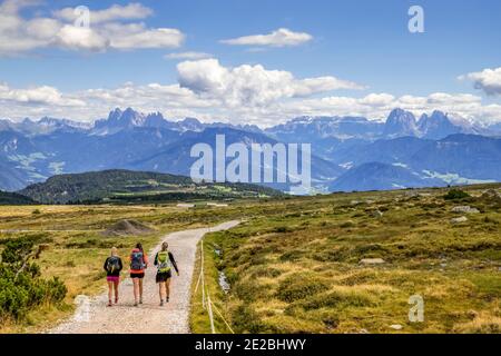 Drei junge Wanderinnen wandern im Sommer auf dem Weg mit Blick über die Dolomiten, Südtirol / Südtirol, Italien Stockfoto