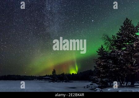 Nordlichter / Aurora borealis, Wetterphänomen mit natürlichem Licht über Jokkmokk im Winter, Norrbotten County, Lappland, Schweden Stockfoto