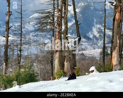 Schneefall in Jammu und Kaschmir ist üblich von Dezember bis Februar, Schnee zieht Touristen und Winterspiele werden auch auf Schnee gespielt. Stockfoto