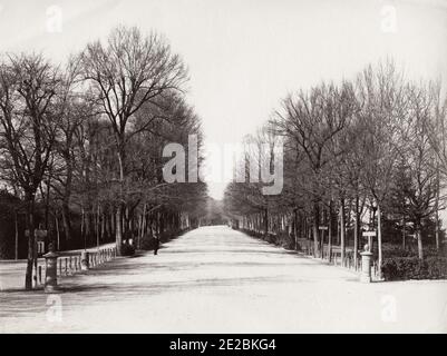 19. Jahrhundert Vintage-Foto: Der Parco delle Cascine (Cascine Park) ist ein monumentaler und historischer Park in der Stadt Florenz. Der Park erstreckt sich über eine Fläche von 160 Hektar (395 Hektar). Es hat die Form eines langen und schmalen Streifens, am Nordufer des Arno Flusses, um 1890. Stockfoto