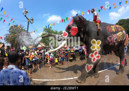 Mahout und sein Elefant spritzt spielerisch Wasser. Young Elephant Spaß und Glück in Songkran Festival. Stockfoto