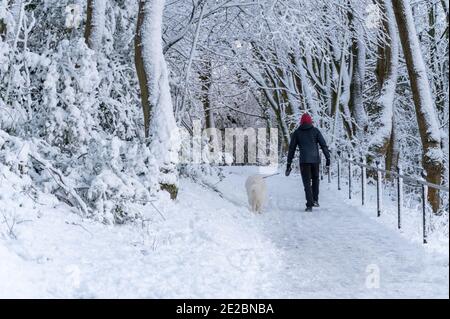 Mann, der Hund im Schnee läuft Stockfoto