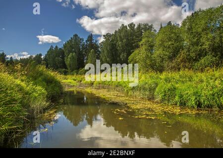 Vorzhekhot Fluss in der Nähe von Divnaya Gora (wunderbare Berg) Dorf in Uglich Bezirk. Russland Stockfoto