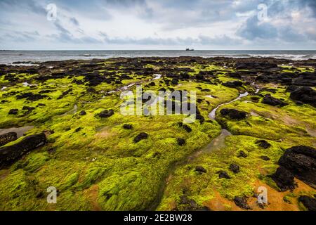 Cua Tung Strand in Hoa Ly, Vinh Linh Bezirk, Quang Tri Provinz Vietnam. Landschaft von unberührten Strand voller blühenden Algen. Stockfoto