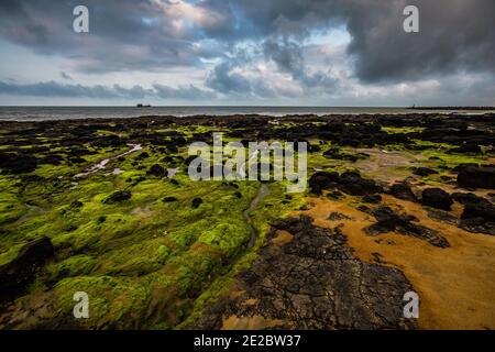 Cua Tung Strand in Hoa Ly, Vinh Linh Bezirk, Quang Tri Provinz Vietnam. Landschaft von unberührten Strand voller blühenden Algen. Stockfoto