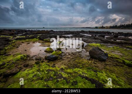 Cua Tung Strand in Hoa Ly, Vinh Linh Bezirk, Quang Tri Provinz Vietnam. Landschaft von unberührten Strand voller blühenden Algen. Stockfoto