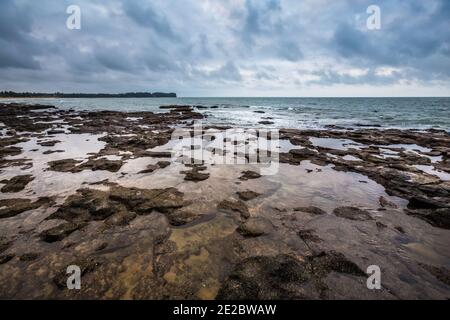 Cua Tung Strand in Hoa Ly, Vinh Linh Bezirk, Quang Tri Provinz Vietnam. Landschaft von unberührten Strand voller blühenden Algen. Stockfoto