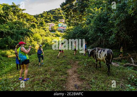 Hash House Harriers Laufveranstaltung in Happy Hill, Grenada Stockfoto