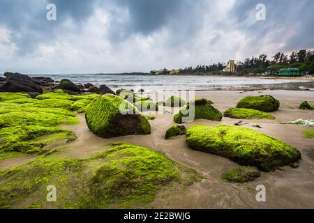 Cua Tung Strand in Hoa Ly, Vinh Linh Bezirk, Quang Tri Provinz Vietnam. Landschaft von unberührten Strand voller blühenden Algen. Stockfoto