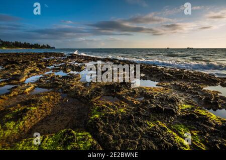 Cua Tung Strand in Hoa Ly, Vinh Linh Bezirk, Quang Tri Provinz Vietnam. Landschaft von unberührten Strand voller blühenden Algen. Stockfoto