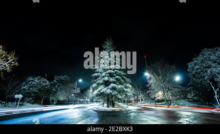 Zeder voller Schnee und bewegliche Lichter in Ifrane Stockfoto