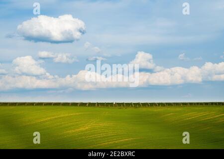 Landschaftlich schöne Aussicht auf das rollende Feld gegen den Himmel in der Nähe von Kyjov, Bezirk Hodonin, Südmährische Region, Mähren, Tschechische Republik Stockfoto