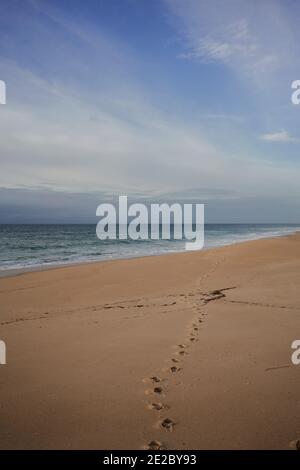 Leerer Strand entlang der portugiesischen Küste Stockfoto