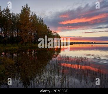 Waldbäume wachsen am Ufer des ruhigen Sees gegen Wolken Sonnenuntergang Himmel im Herbst in der Natur Stockfoto