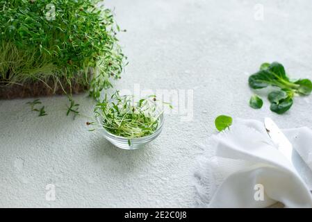 Micro Greens auf weißem Hintergrund. Gesundes und vegetarisches Essen Stockfoto