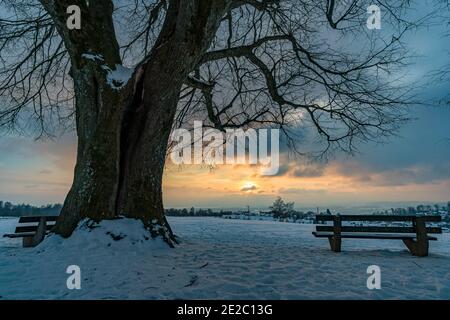 Traumhafte verschneite Winterlandschaft bei Heiligenberg am Bodensee bei Der Aussichtspunkt Amalienhoehe Stockfoto