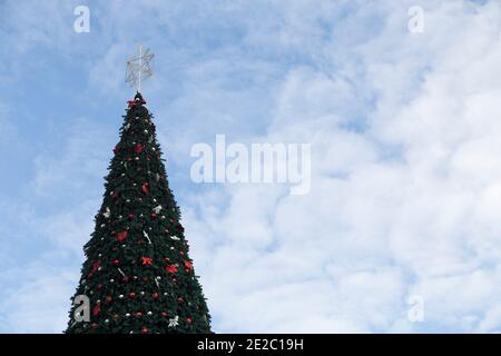 Der weihnachtsbaum und der blaue Himmel mit Wolken. Dieses Bild kann als Geschenkkarte verwendet werden. Stockfoto