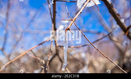 Eisgekühlte Wassertropfen in Ifrane Stadt Stockfoto