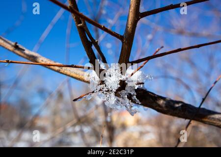 Eisgekühlte Wassertropfen in Ifrane Stadt Stockfoto