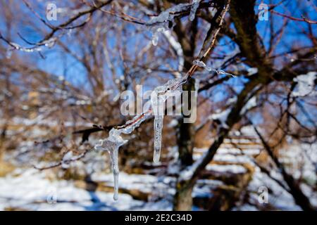 Eisgekühlte Wassertropfen in Ifrane Stadt Stockfoto