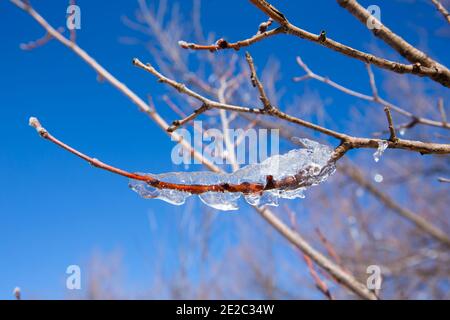 Eisgekühlte Wassertropfen in Ifrane Stadt Stockfoto