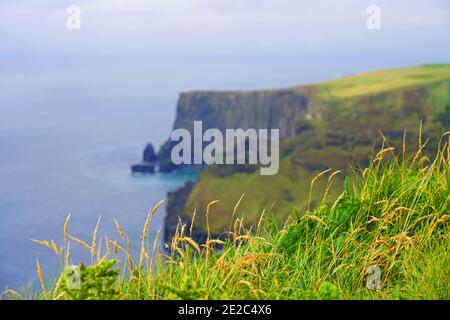 Steile Meeresklippen an den Cliffs of Moher in Irland. Stockfoto