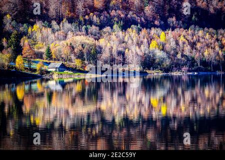 Kleine Waldhütte am Ufer des Poiana Marului Sees spiegelt sich in einer perfekten Symmetrie wider. Foto aufgenommen am 15. November 2020 in Poiana Marului Reservat Stockfoto