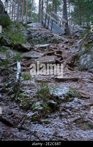 Pfad im Wald, der einen Hügel hinauf zu einer Treppe führt. Schnee auf dem Boden Stockfoto