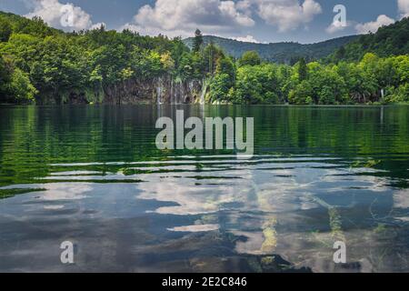 Untergetauchte Baumstämme und Wasserfälle mit Spiegelung im See. Grüner, üppiger Wald, Nationalpark Plitvicer Seen UNESCO Weltkulturerbe in Kroatien Stockfoto