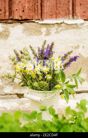 Bouquet von Teeblüten. Kamille, Zitronenmelisse und Minze. Gesunde Ernährung. Morgen im Dorf. Holzhintergrund Stockfoto